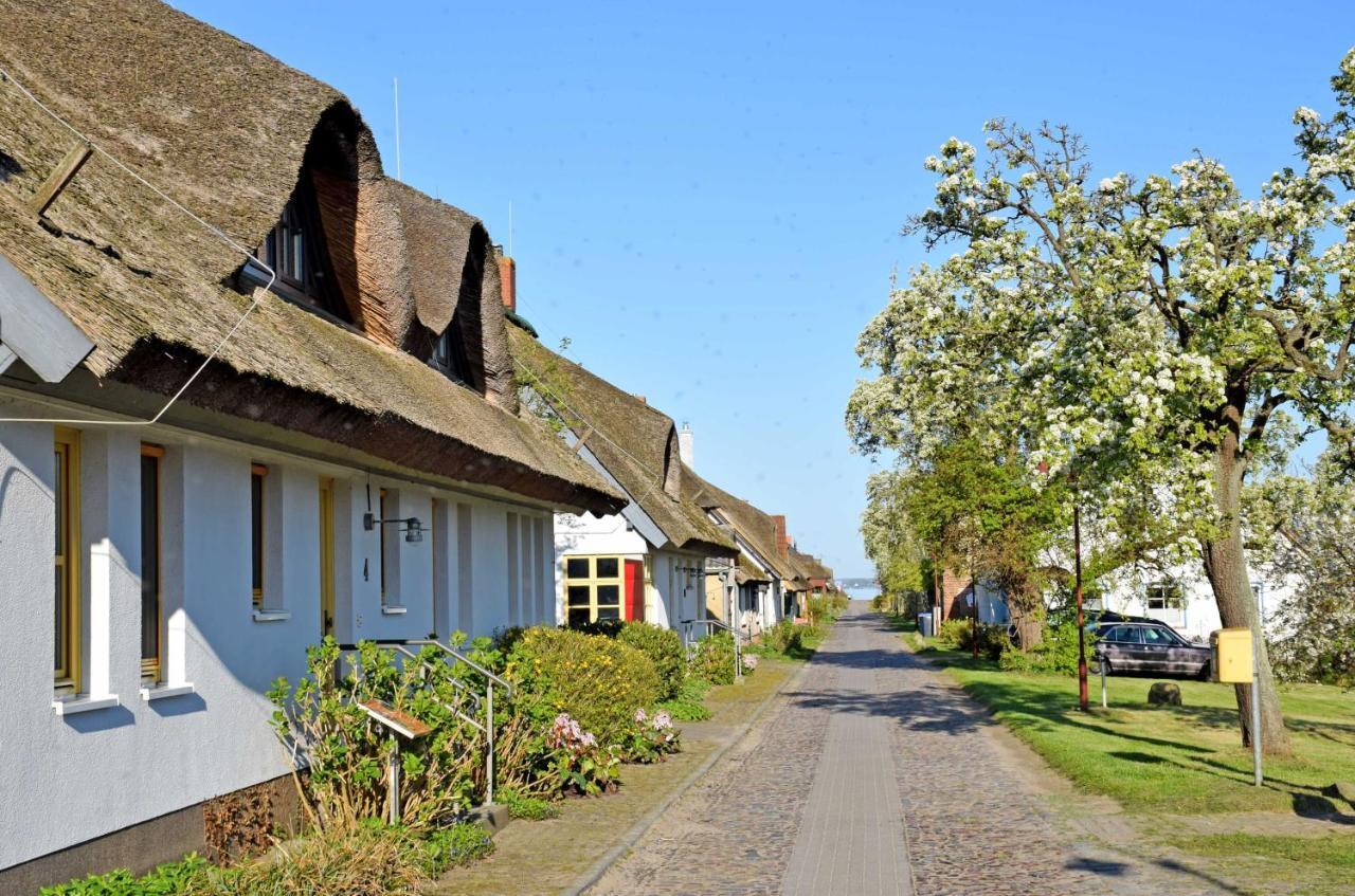 Neu Reddevitz Ferienwohnungen Im Fischerdorf Und מראה חיצוני תמונה